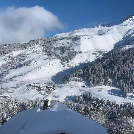 Chardon Bleu * Meribel
